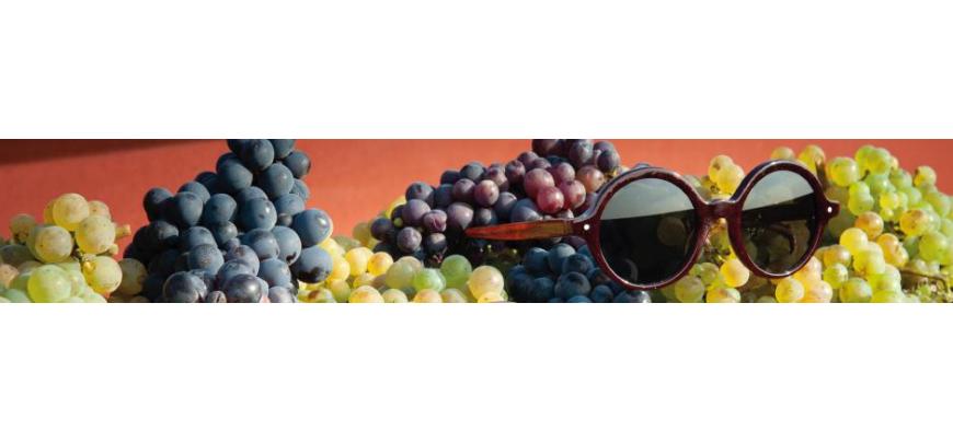 LUNETTES VIGNERONNES