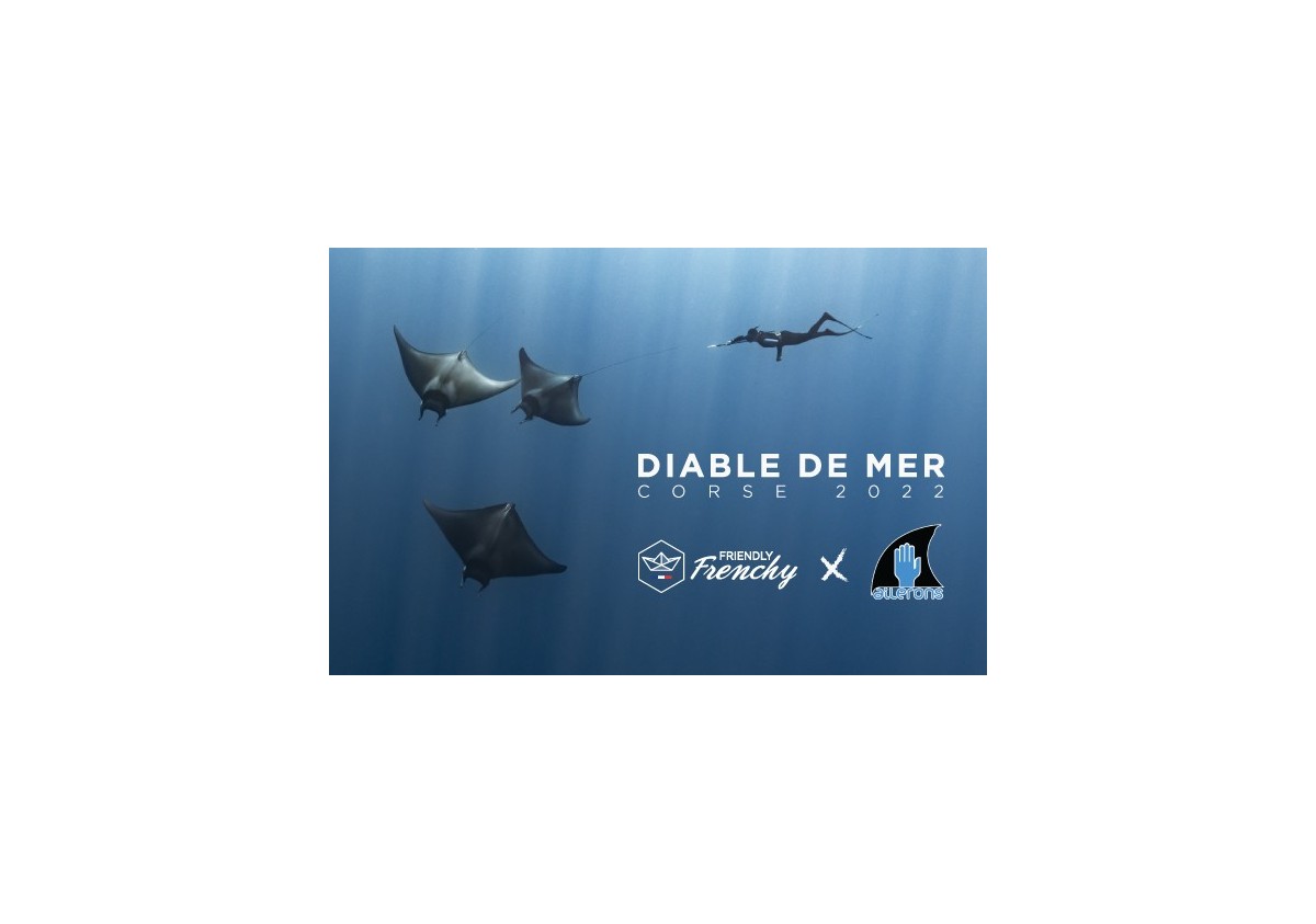 EXPEDITION DIABLE DE MER / ASSOCIATION AILERONS